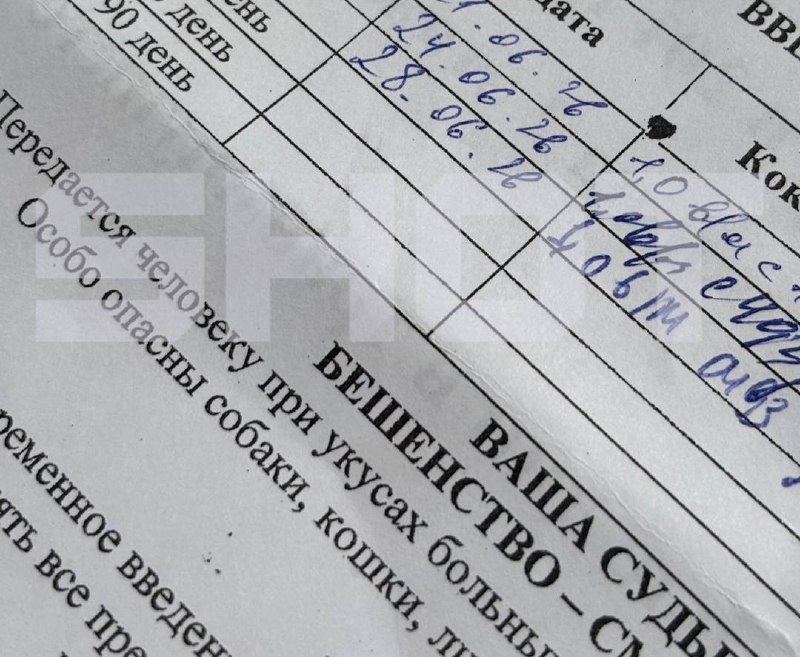 Медиа в альбоме