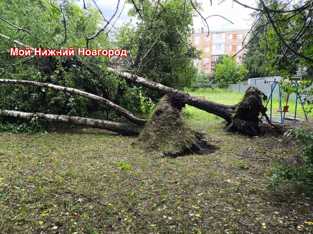 Медиа в альбоме