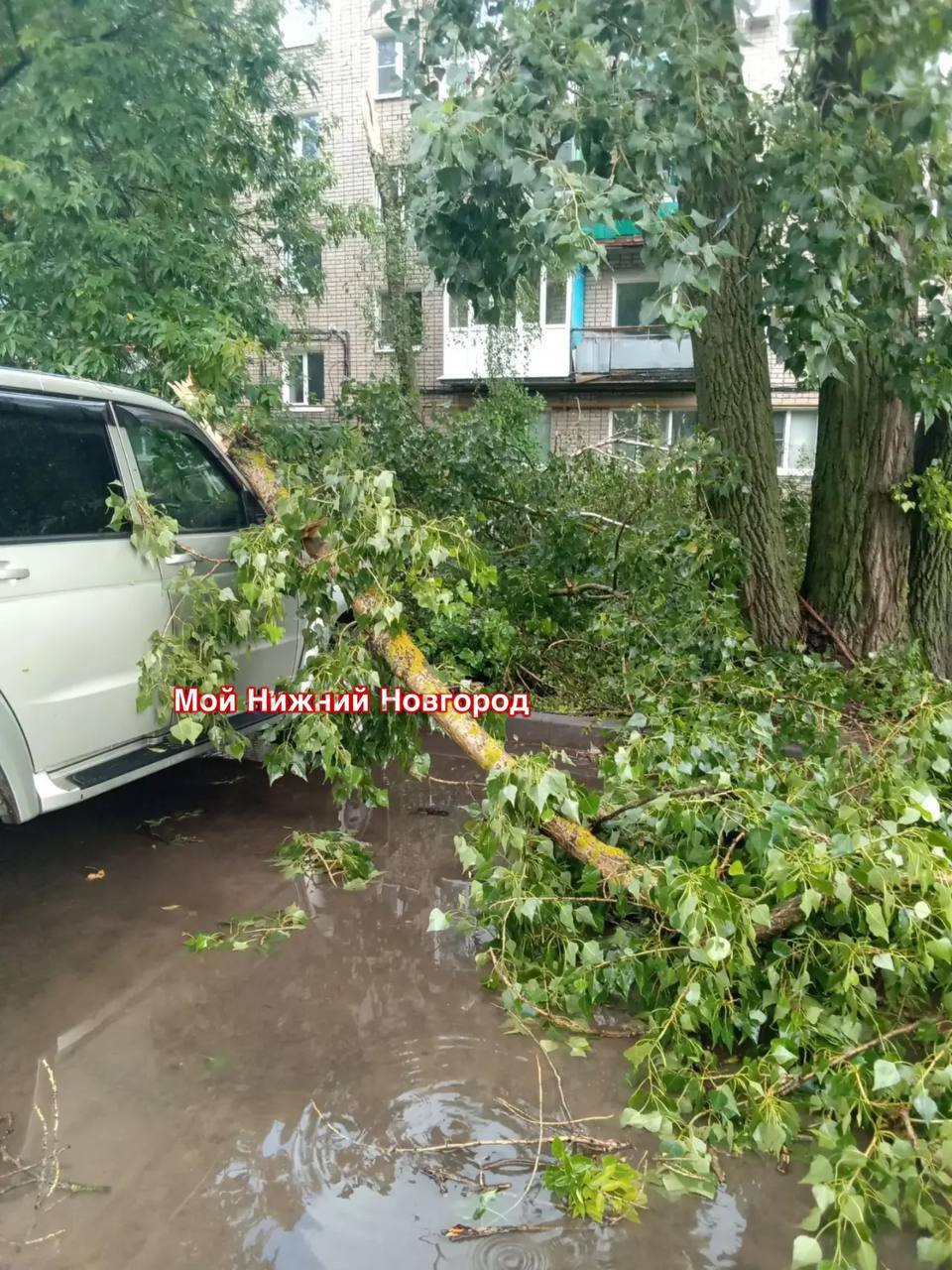 Медиа в альбоме