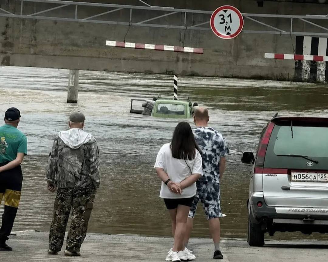Медиа в альбоме